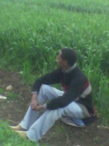 reda