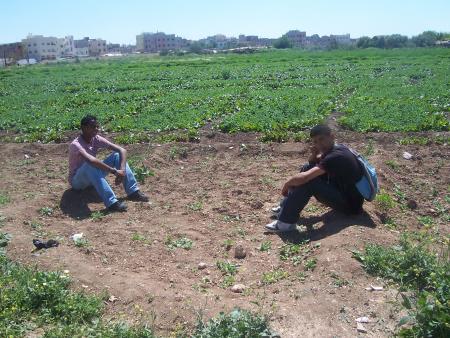 reda  and younsse