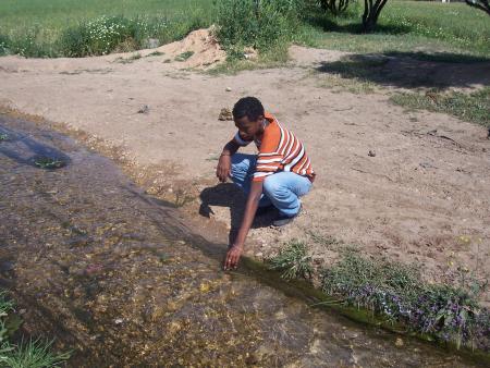 reda